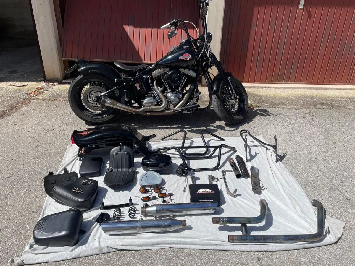 Harley-Davidson 1584 Cross Bones (2008 - 11) - FLSTSB (20)