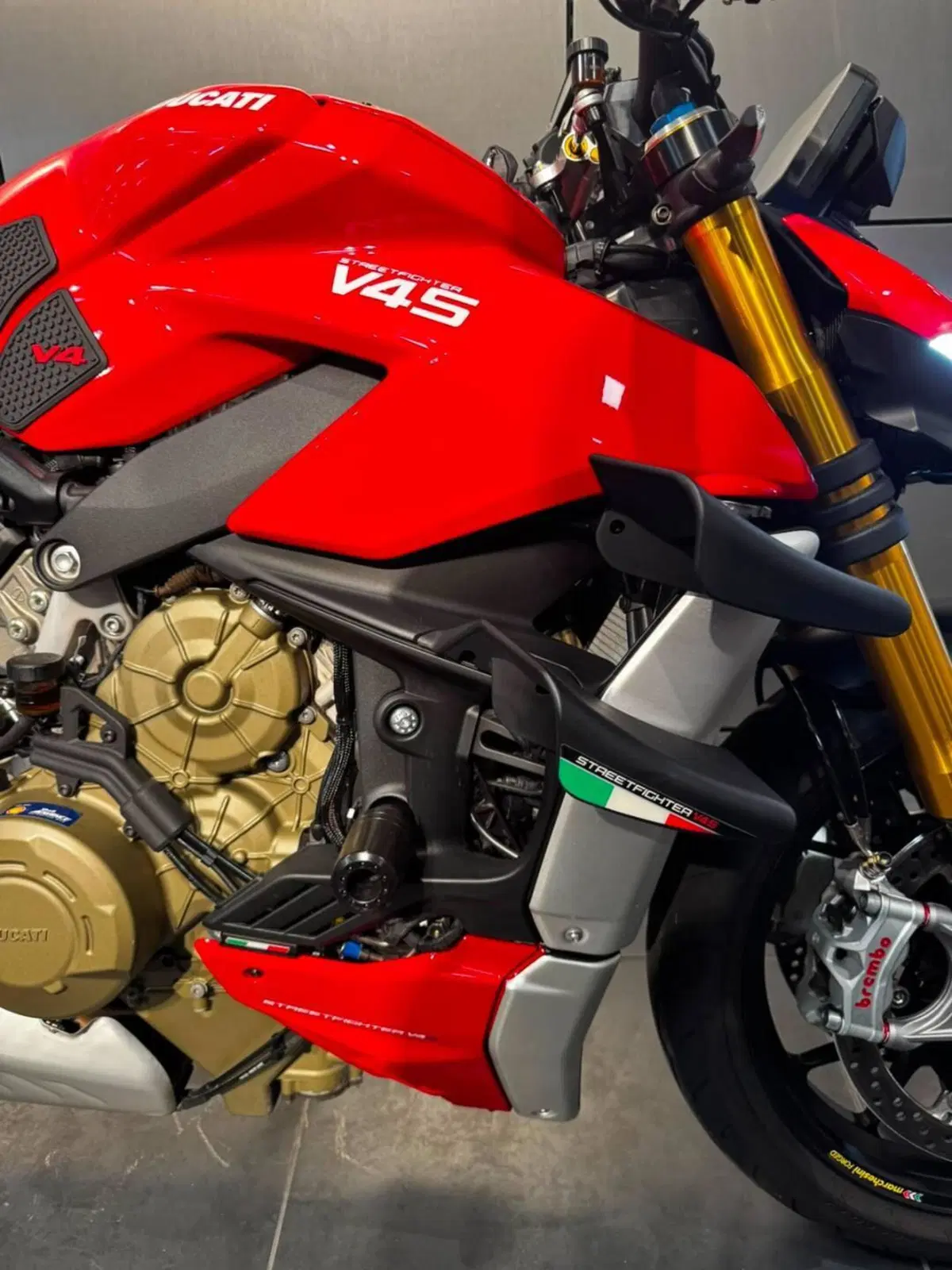 Ducati Streetfighter V4 1100 S (2021 - 22) (17)
