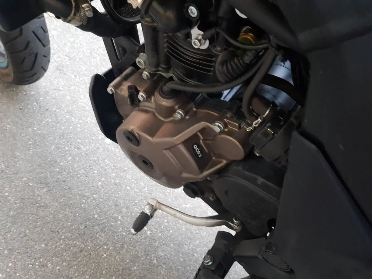 FB Mondial SMX 125 Motard (2021 - 24) (11)