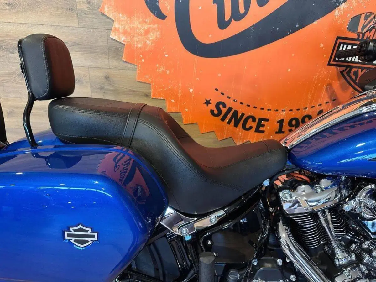 Harley-Davidson Low Rider ST (2025 - 26) (6)