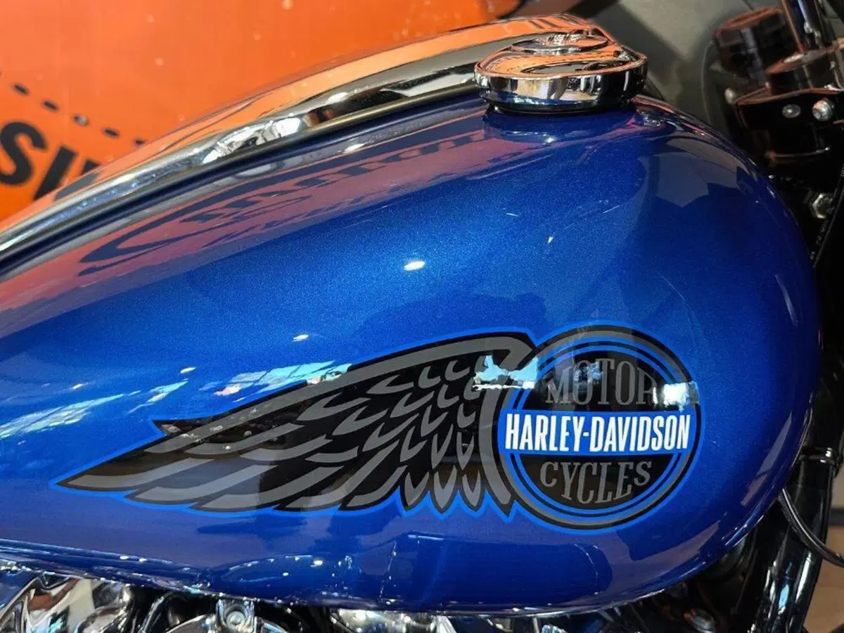 Harley-Davidson Low Rider ST (2025 - 26) (8)