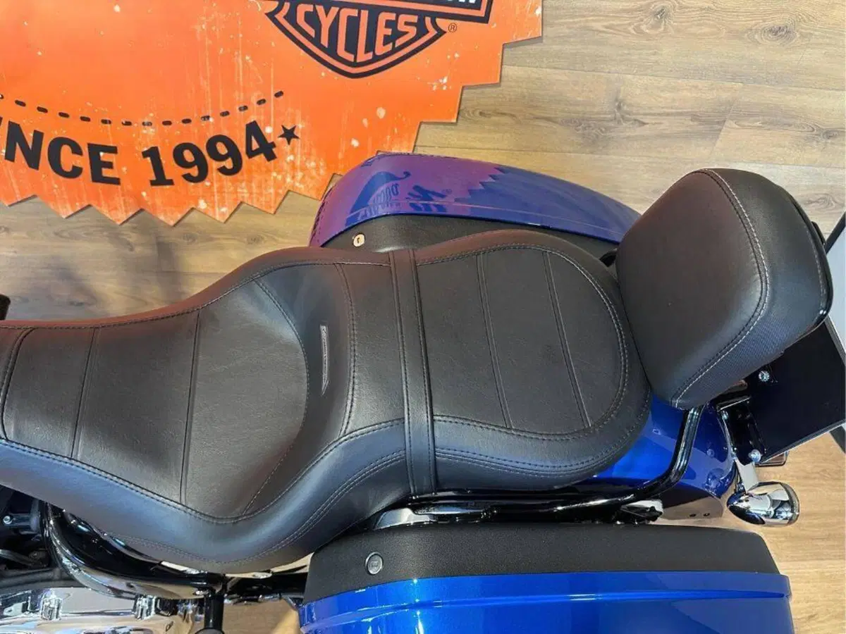 Harley-Davidson Low Rider ST (2025 - 26) (12)