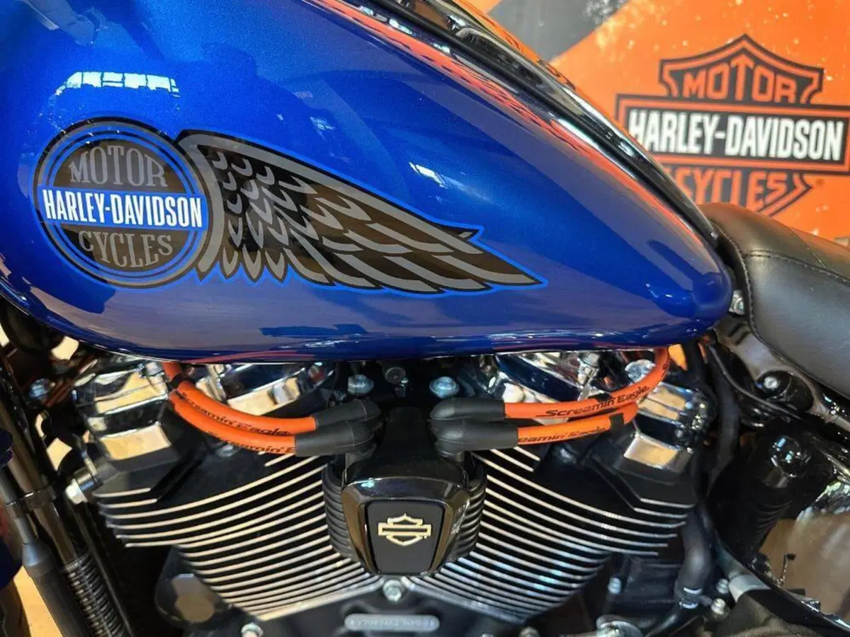 Harley-Davidson Low Rider ST (2025 - 26) (13)