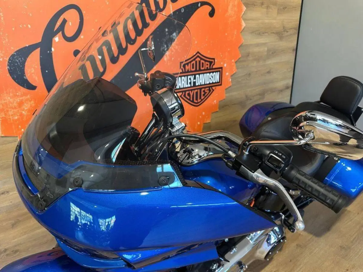 Harley-Davidson Low Rider ST (2025 - 26) (14)