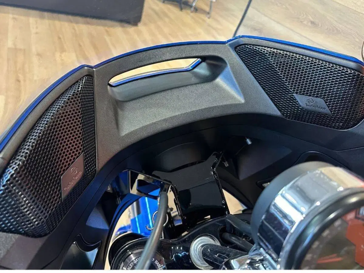 Harley-Davidson Low Rider ST (2025 - 26) (15)