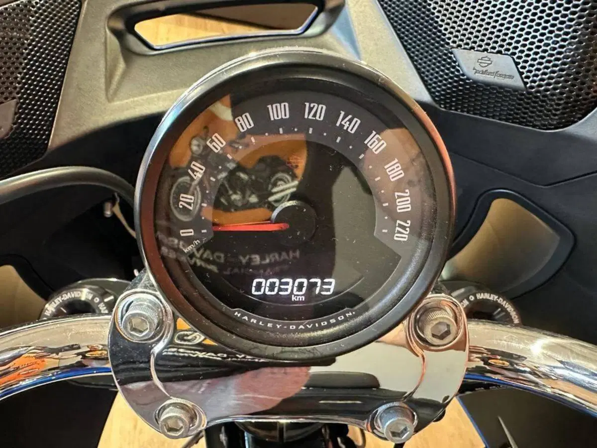 Harley-Davidson Low Rider ST (2025 - 26) (16)
