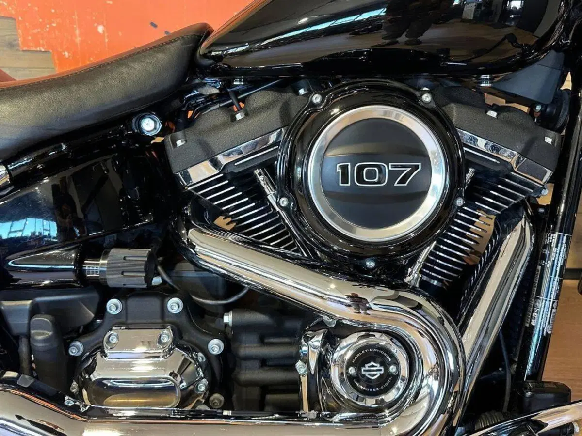 Harley-Davidson Sport Glide (2021 - 25) (6)