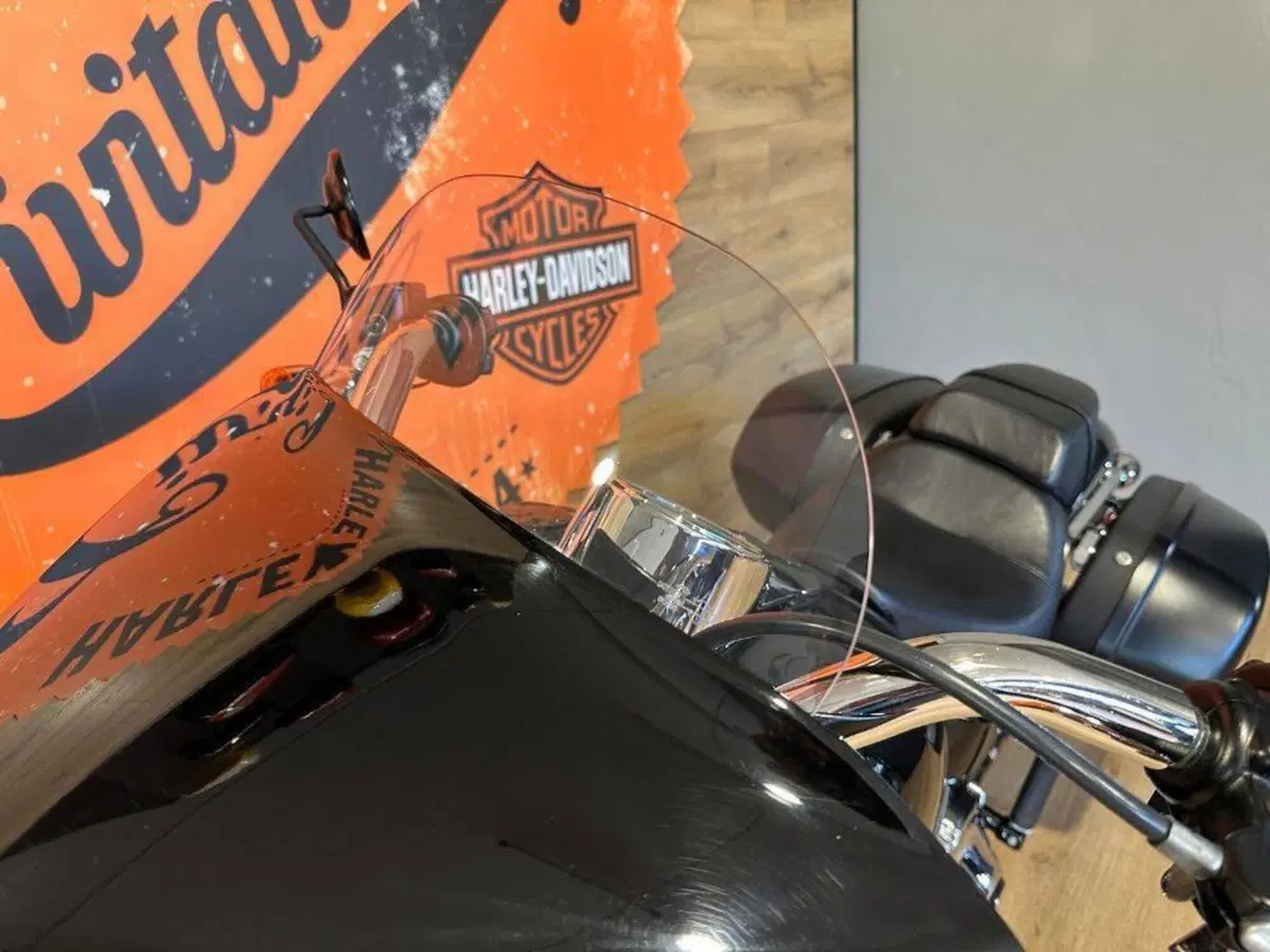 Harley-Davidson Sport Glide (2021 - 25) (12)