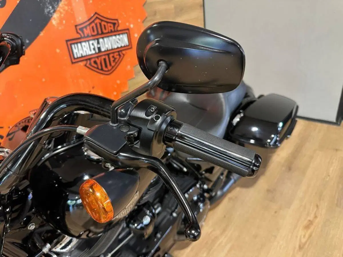 Harley-Davidson 114 Road King Special (2019 - 20) - FLHR (10)