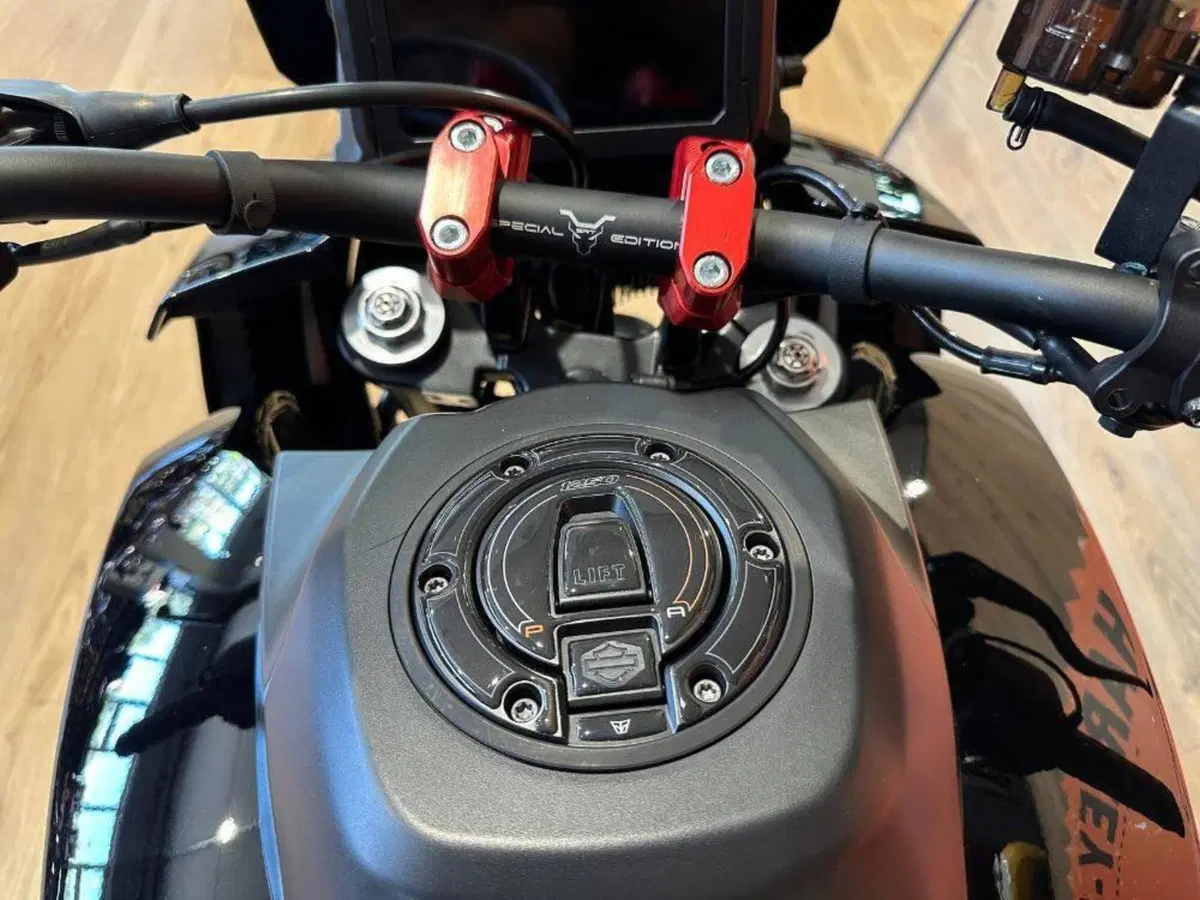 Harley-Davidson Pan America 1250 ST (2025 - 26) (14)