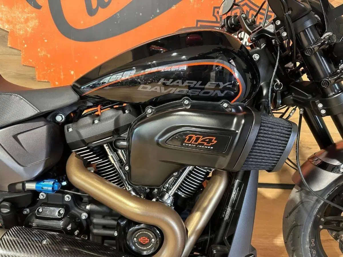 Harley-Davidson 114 FXDR (2019 - 20) (5)