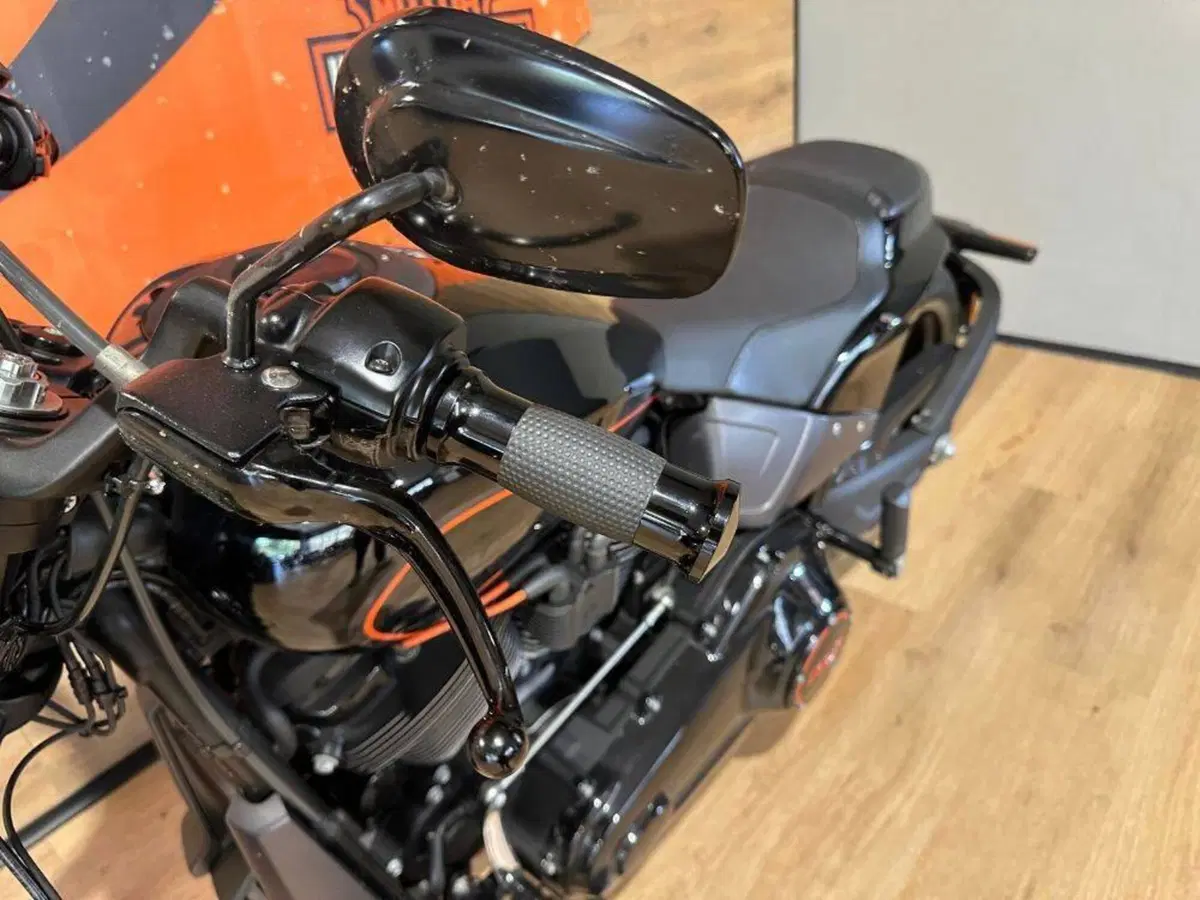 Harley-Davidson 114 FXDR (2019 - 20) (12)
