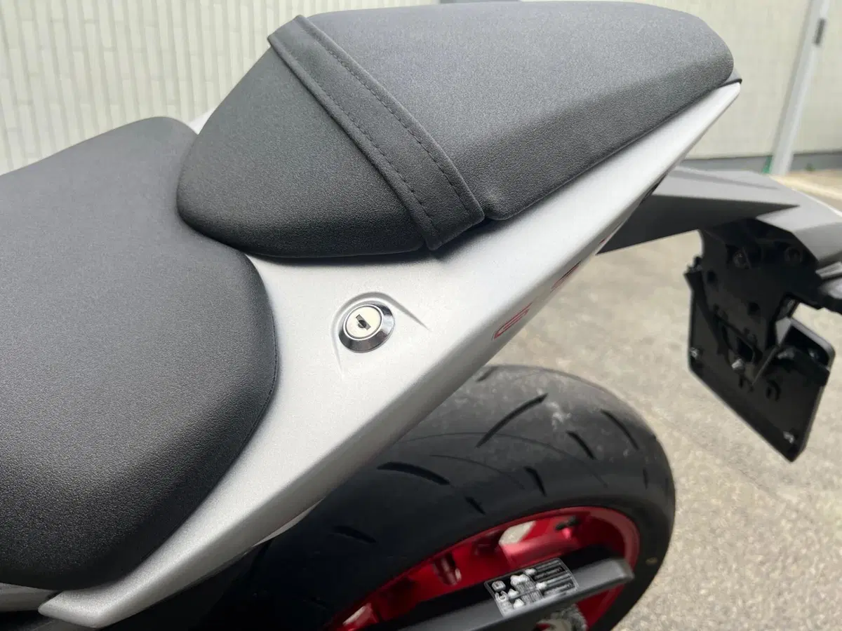 Suzuki GSX-8R (2024 - 26) (10)