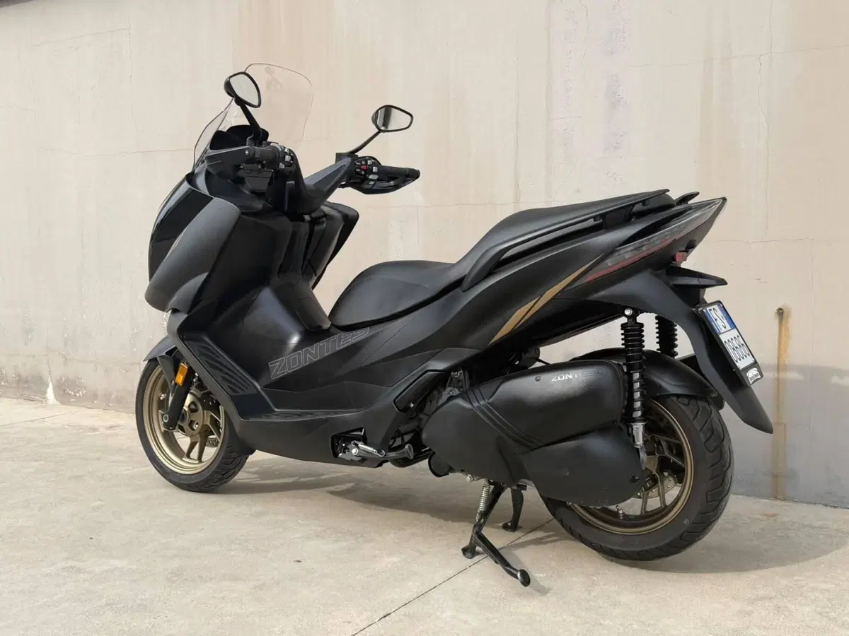 Zontes ZT350-E (2023 - 25) (4)