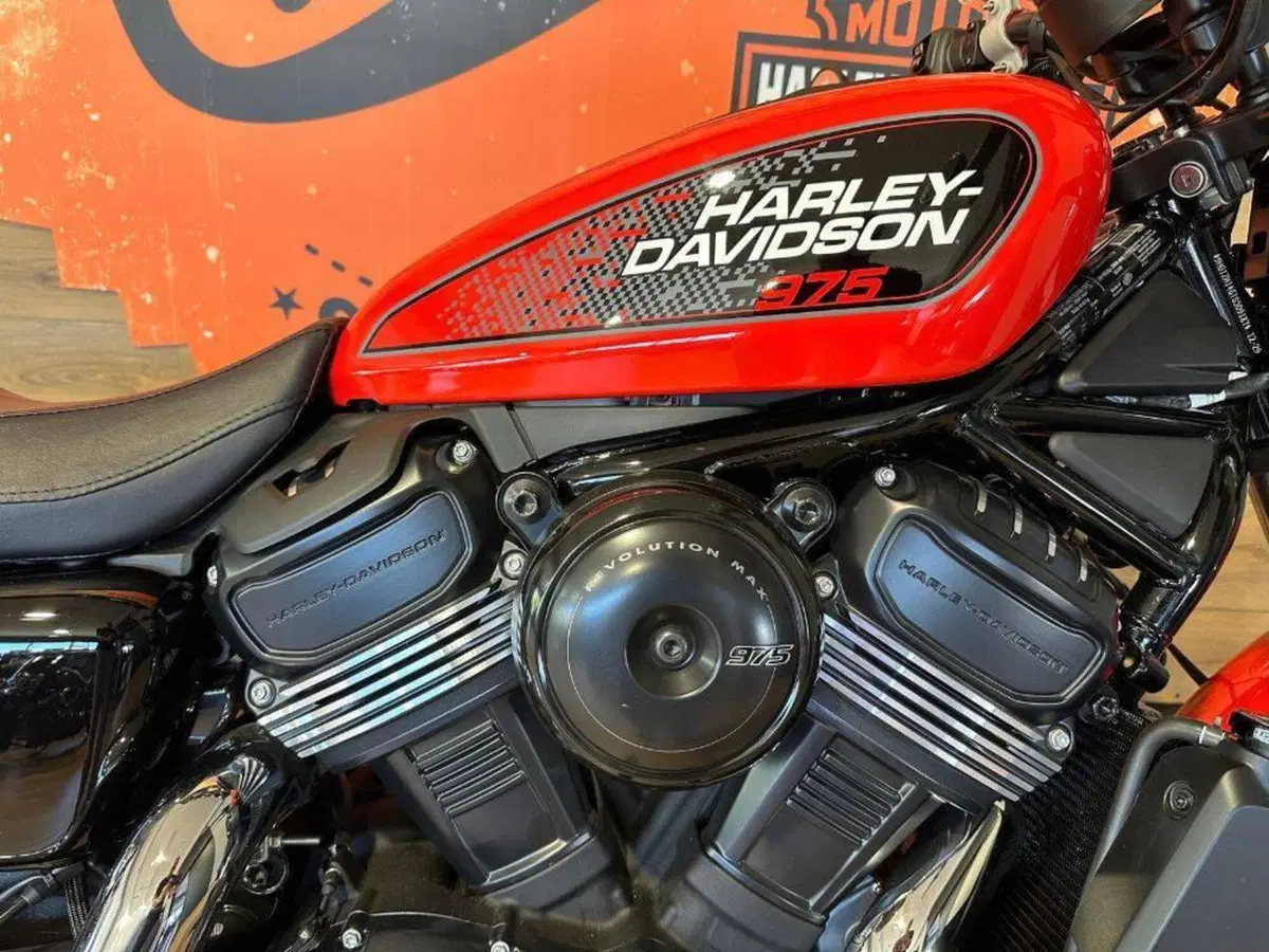 Harley-Davidson Nightster (2023 - 26) (5)