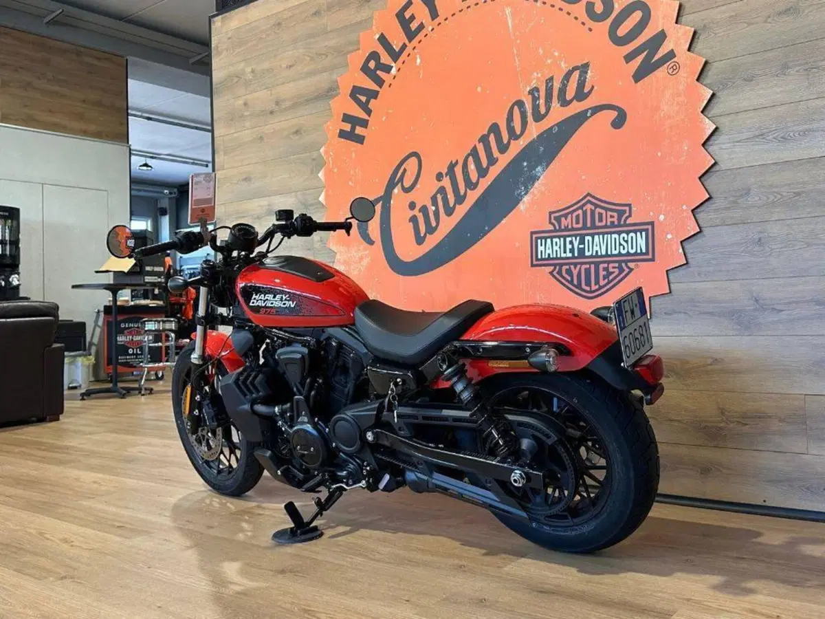Harley-Davidson Nightster (2023 - 26) (8)