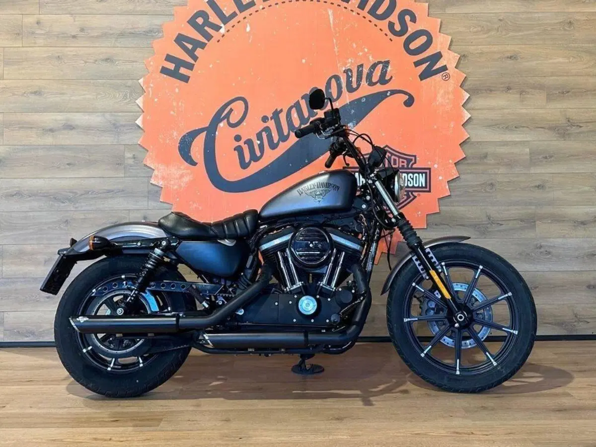 Harley-Davidson 883 Iron (2014 - 16) - XL 883N (2)