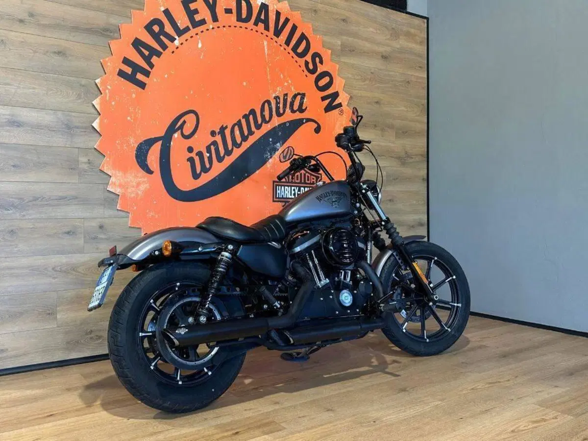 Harley-Davidson 883 Iron (2014 - 16) - XL 883N (3)