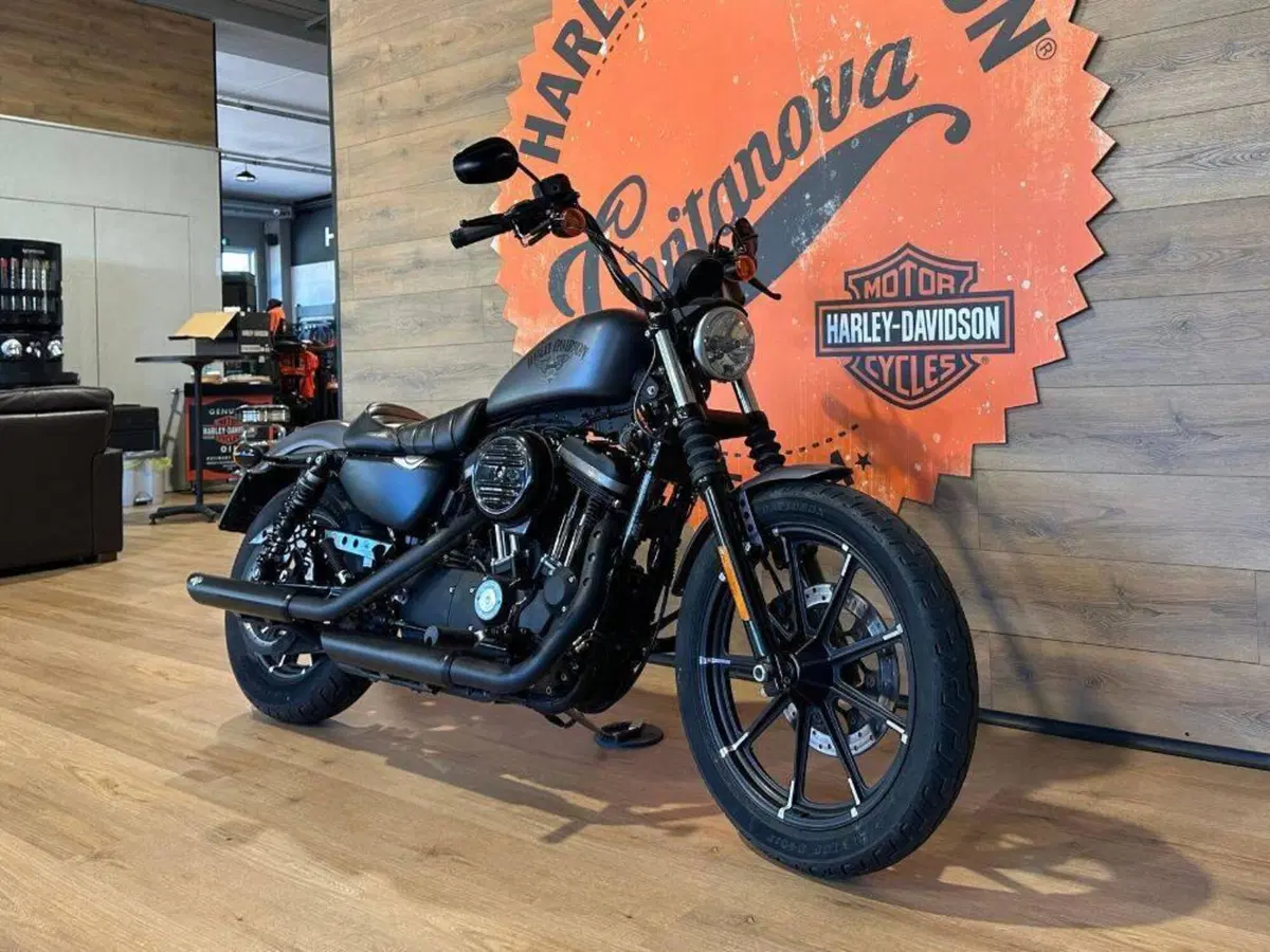 Harley-Davidson 883 Iron (2014 - 16) - XL 883N (4)