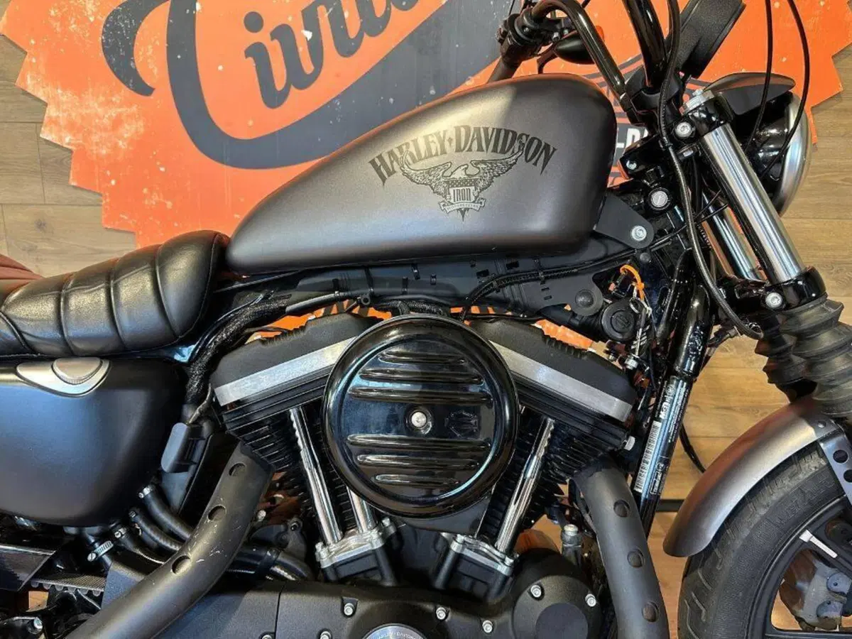 Harley-Davidson 883 Iron (2014 - 16) - XL 883N (5)