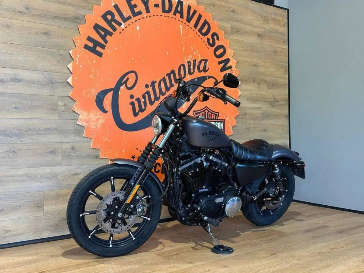 Harley-Davidson 883 Iron (2014 - 16) - XL 883N (8)