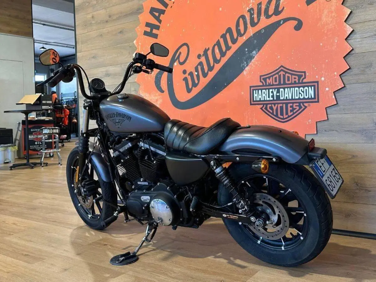 Harley-Davidson 883 Iron (2014 - 16) - XL 883N (9)