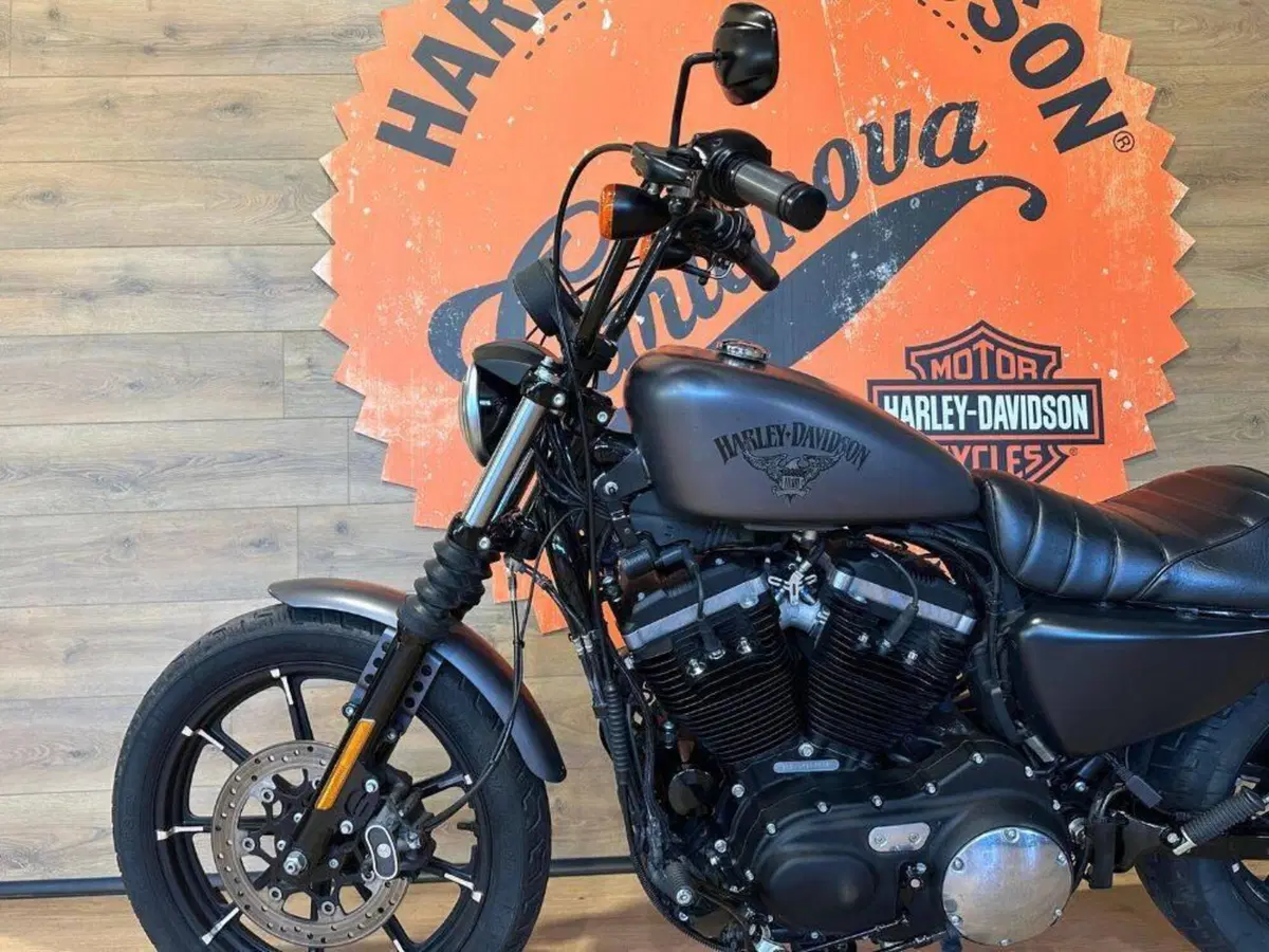 Harley-Davidson 883 Iron (2014 - 16) - XL 883N (10)
