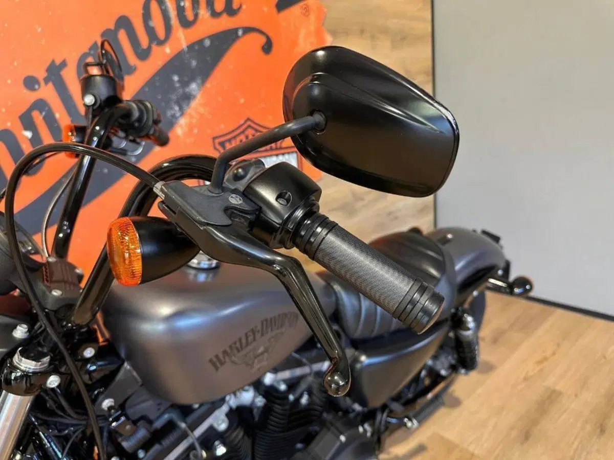 Harley-Davidson 883 Iron (2014 - 16) - XL 883N (11)