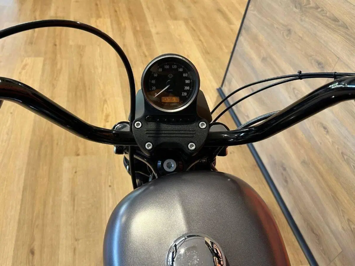 Harley-Davidson 883 Iron (2014 - 16) - XL 883N (12)