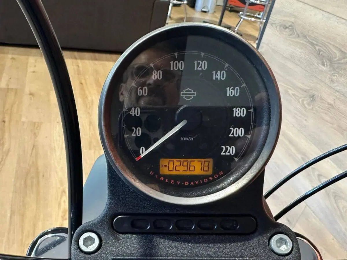 Harley-Davidson 883 Iron (2014 - 16) - XL 883N (13)