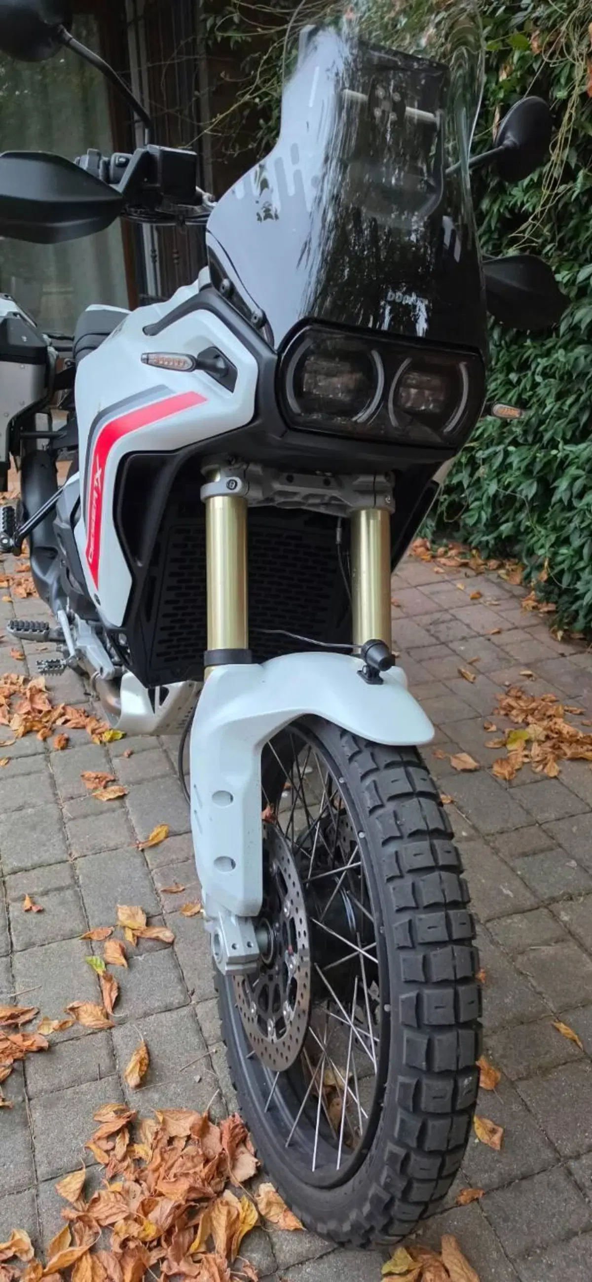 Ducati DesertX (2026) (5)