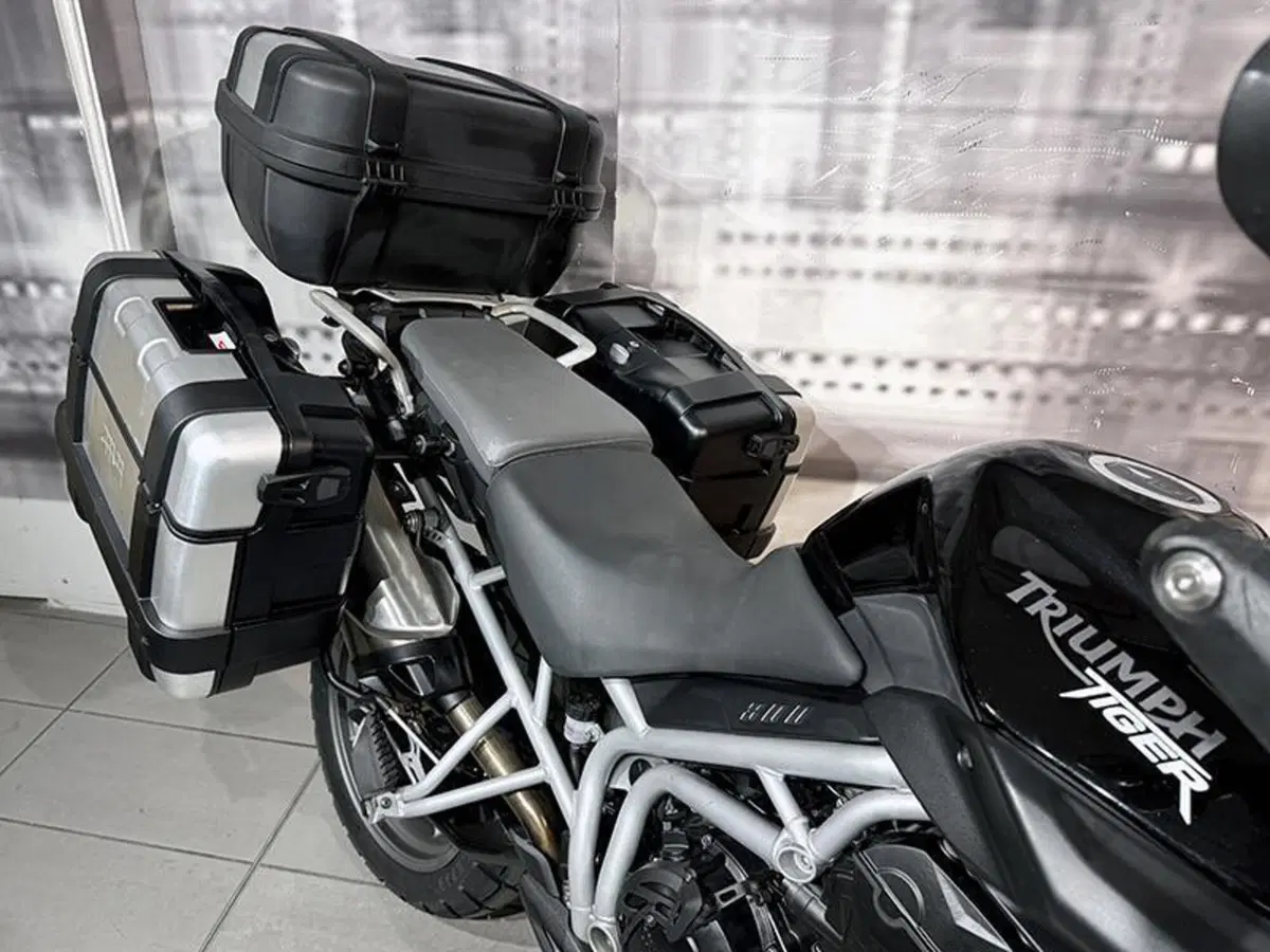 Triumph Tiger 800 ABS (2010 - 14) (5)