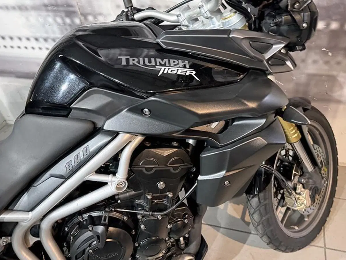 Triumph Tiger 800 ABS (2010 - 14) (6)