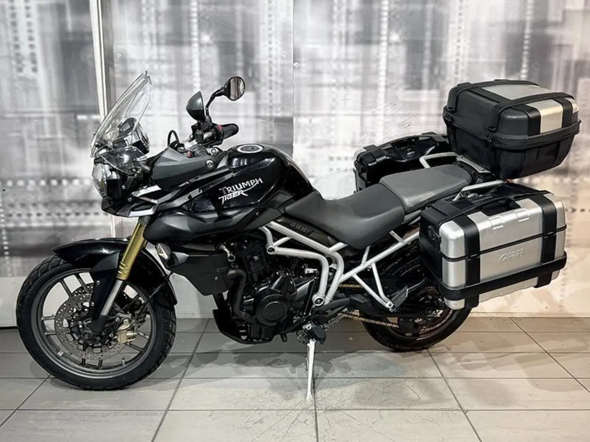 Triumph Tiger 800 ABS (2010 - 14) (7)