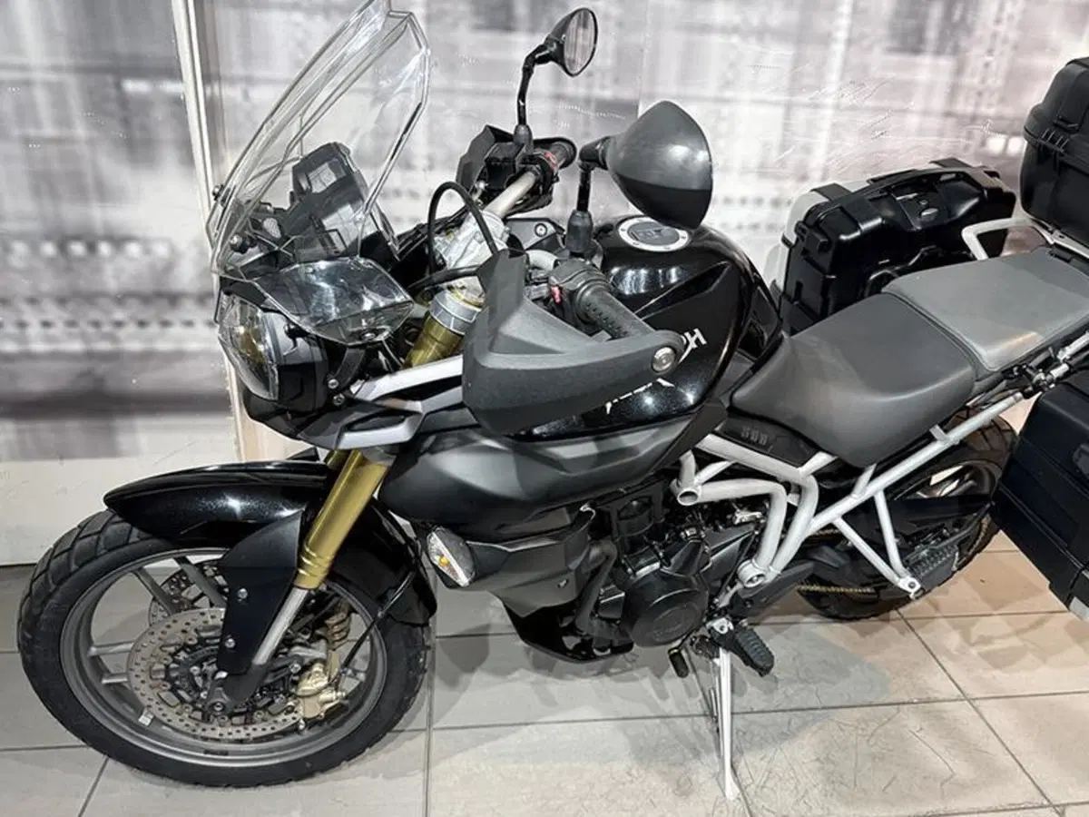 Triumph Tiger 800 ABS (2010 - 14) (9)