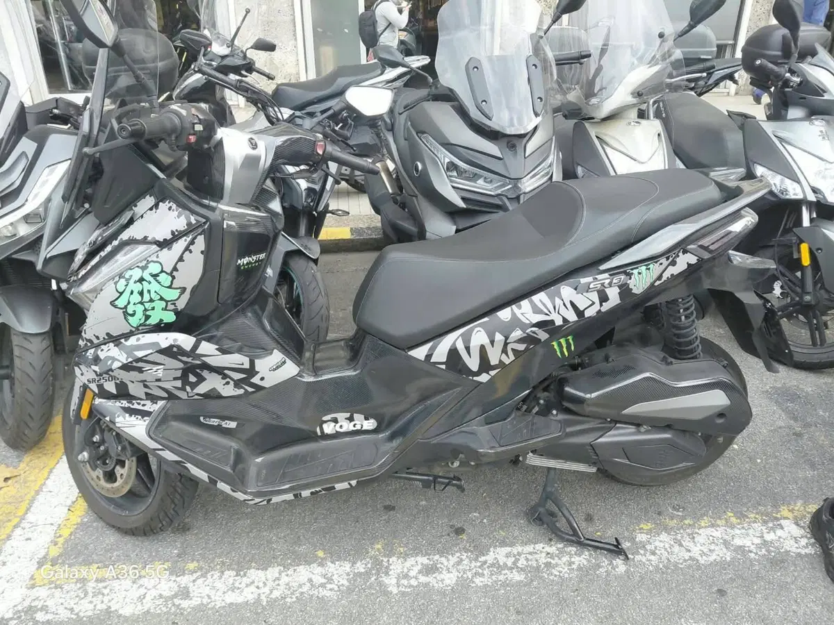 Voge Sfida SR3 (2024 - 26) (2)
