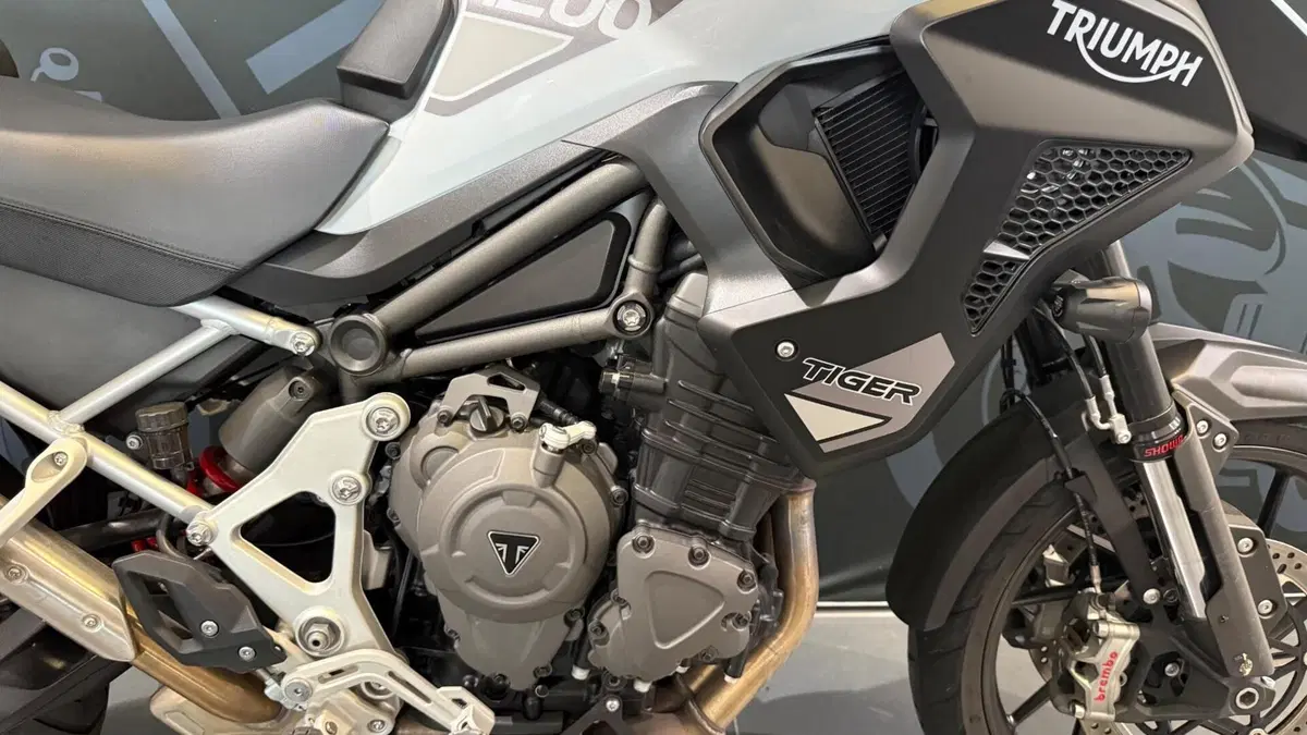 Triumph Tiger 1200 GT Pro (2022 - 23) (4)