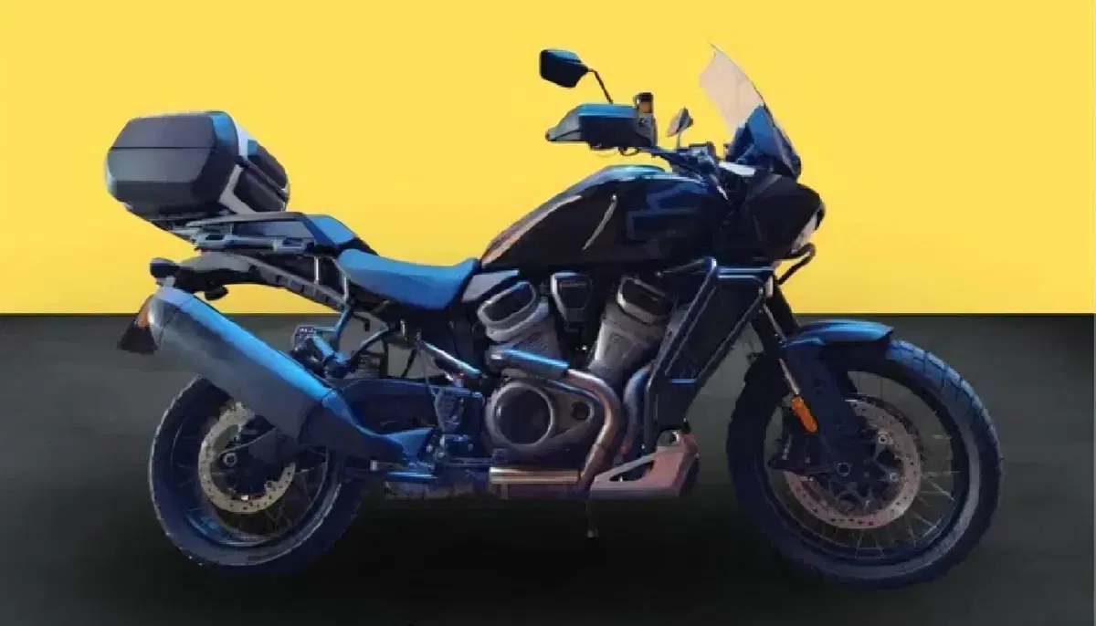 Harley-Davidson Pan America 1250 Special (2020 - 25) (3)