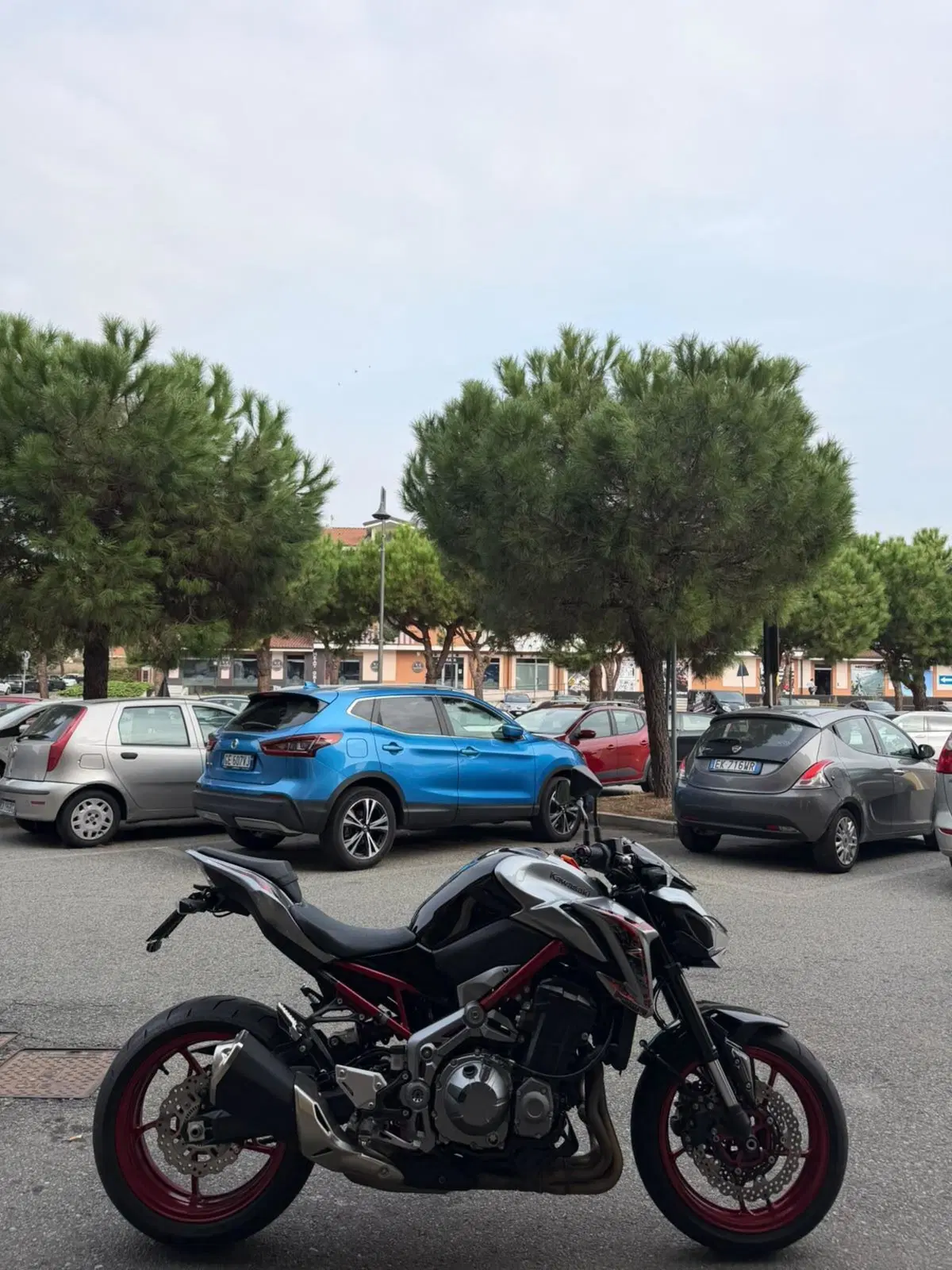 Kawasaki Z 900 (2019) (2)