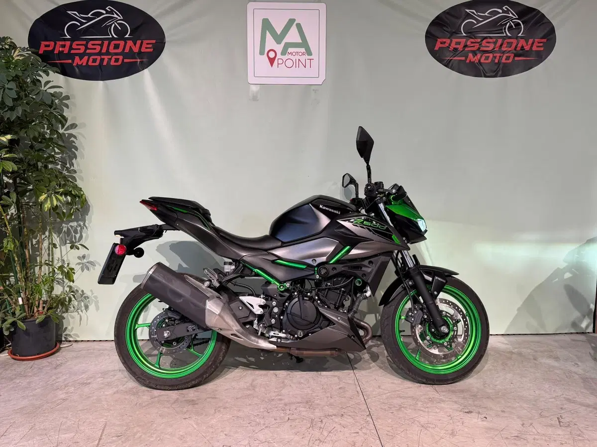 Kawasaki Z 500 SE (2024 - 27)