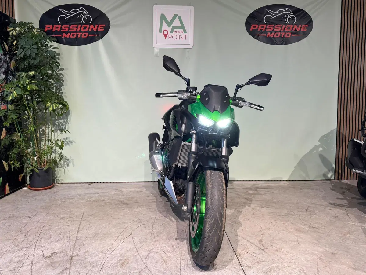 Kawasaki Z 500 SE (2024 - 27) (2)