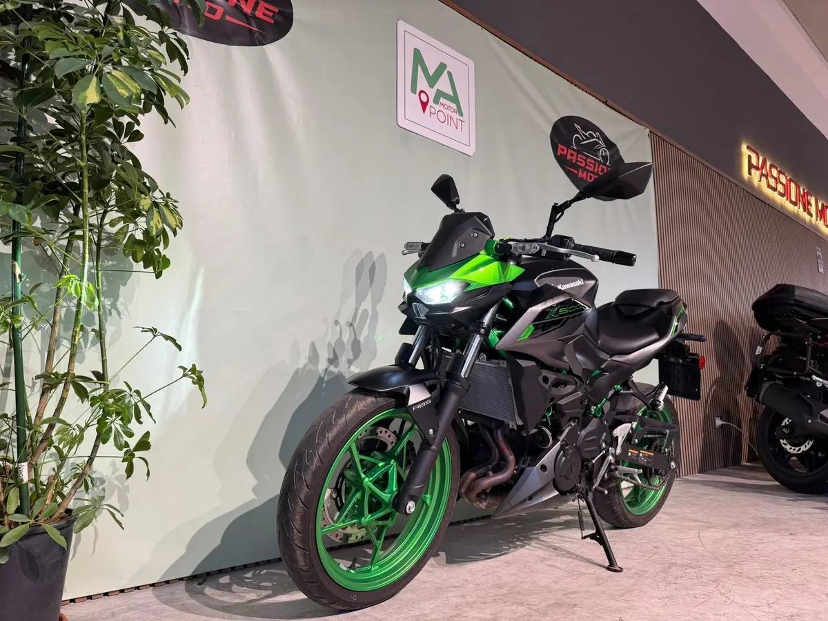 Kawasaki Z 500 SE (2024 - 27) (3)