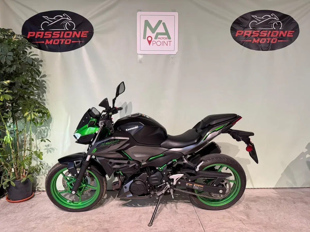 Kawasaki Z 500 SE (2024 - 27) (4)