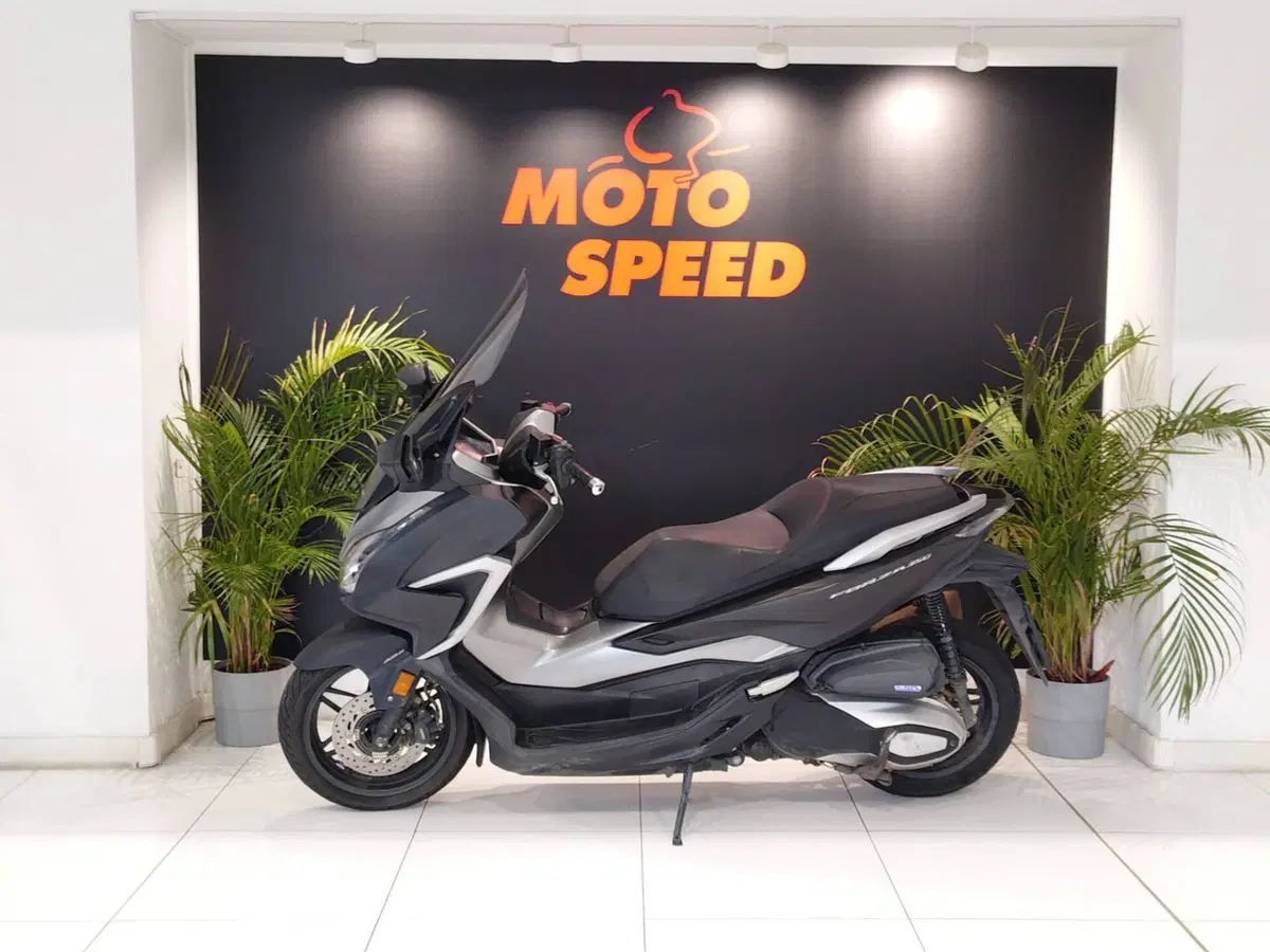 Honda Forza 350 (2022 - 24) (4)