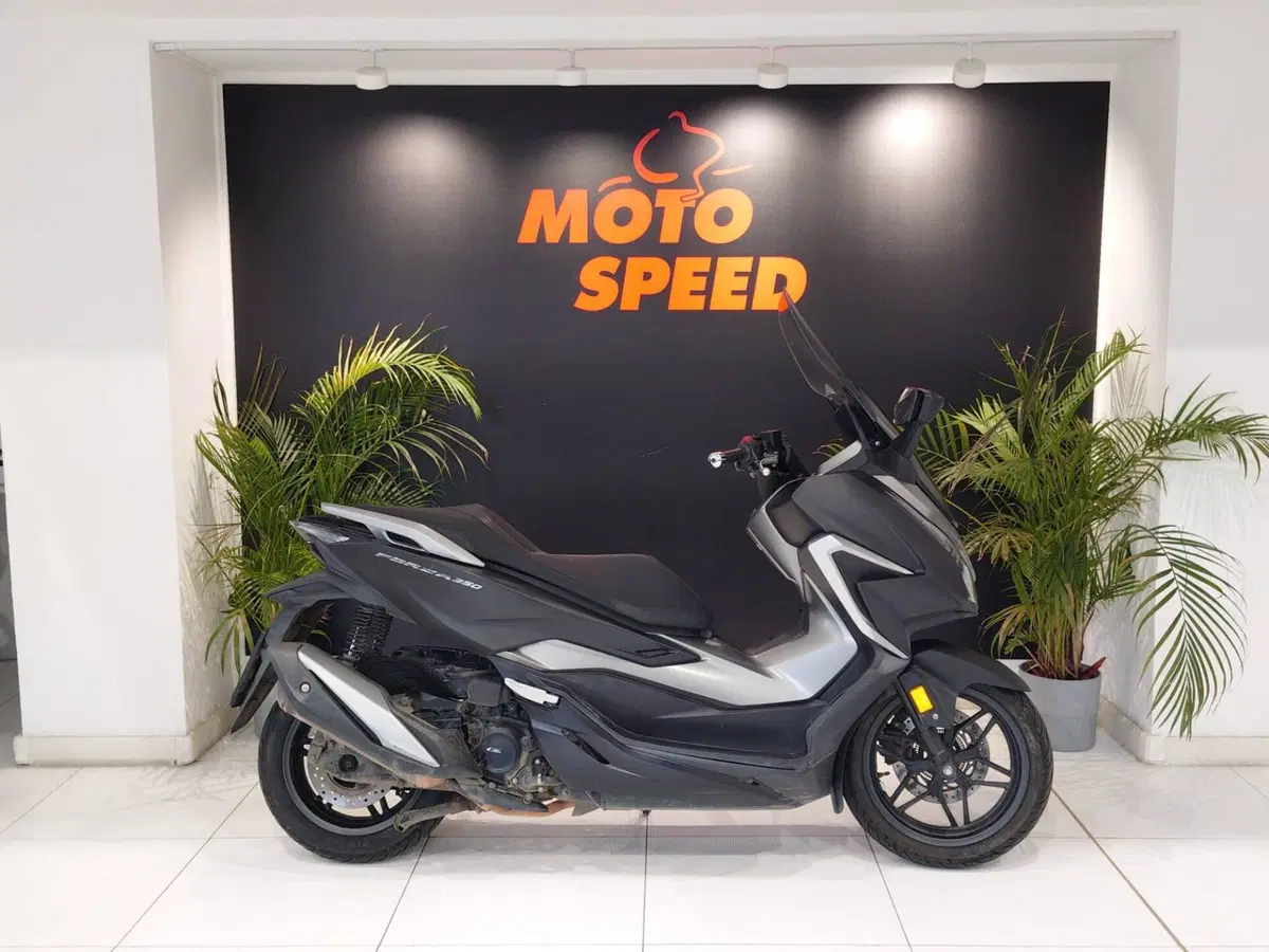 Honda Forza 350 (2022 - 24)