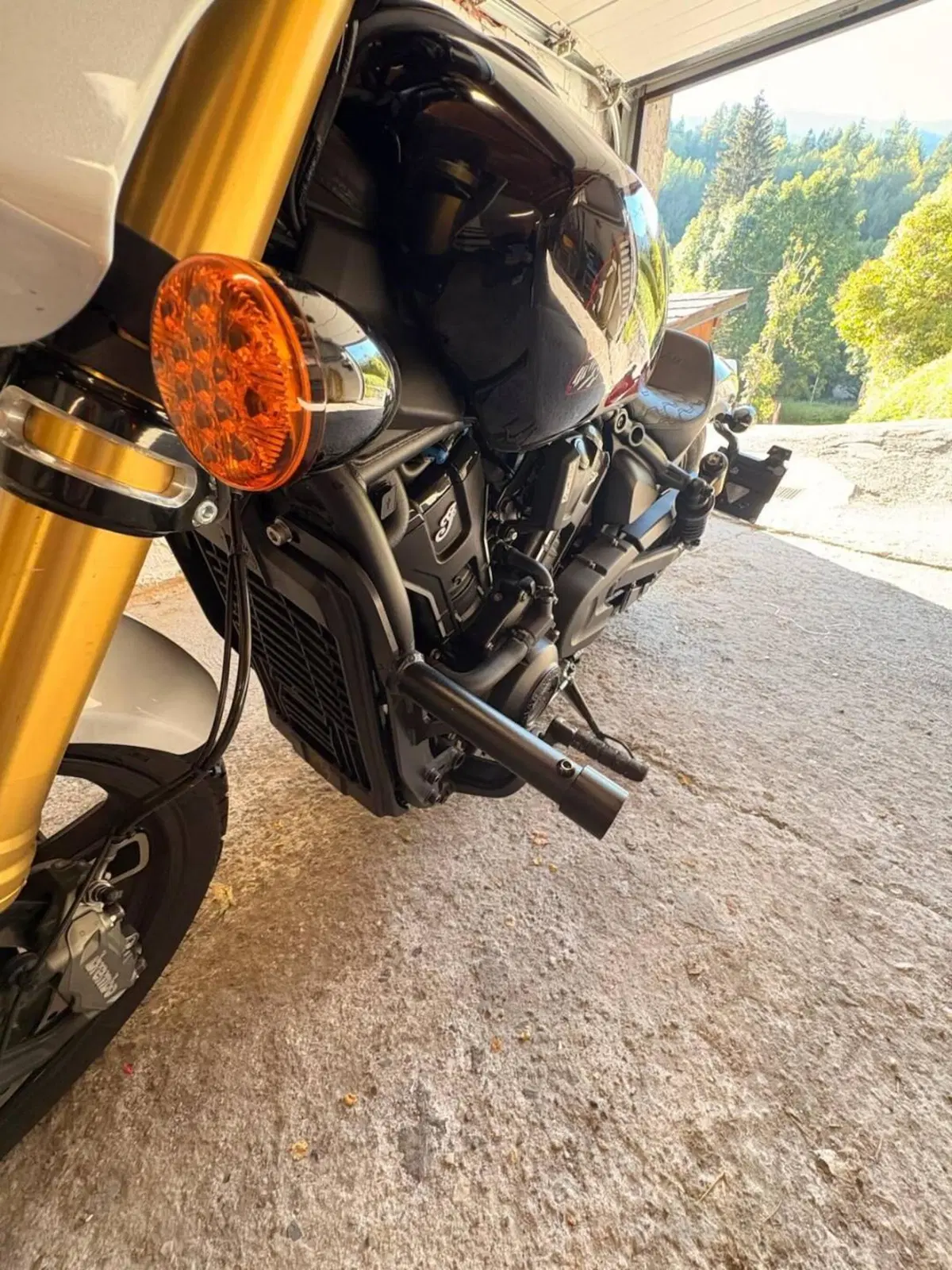 Indian Scout 1250 101 (2025 - 26) (14)