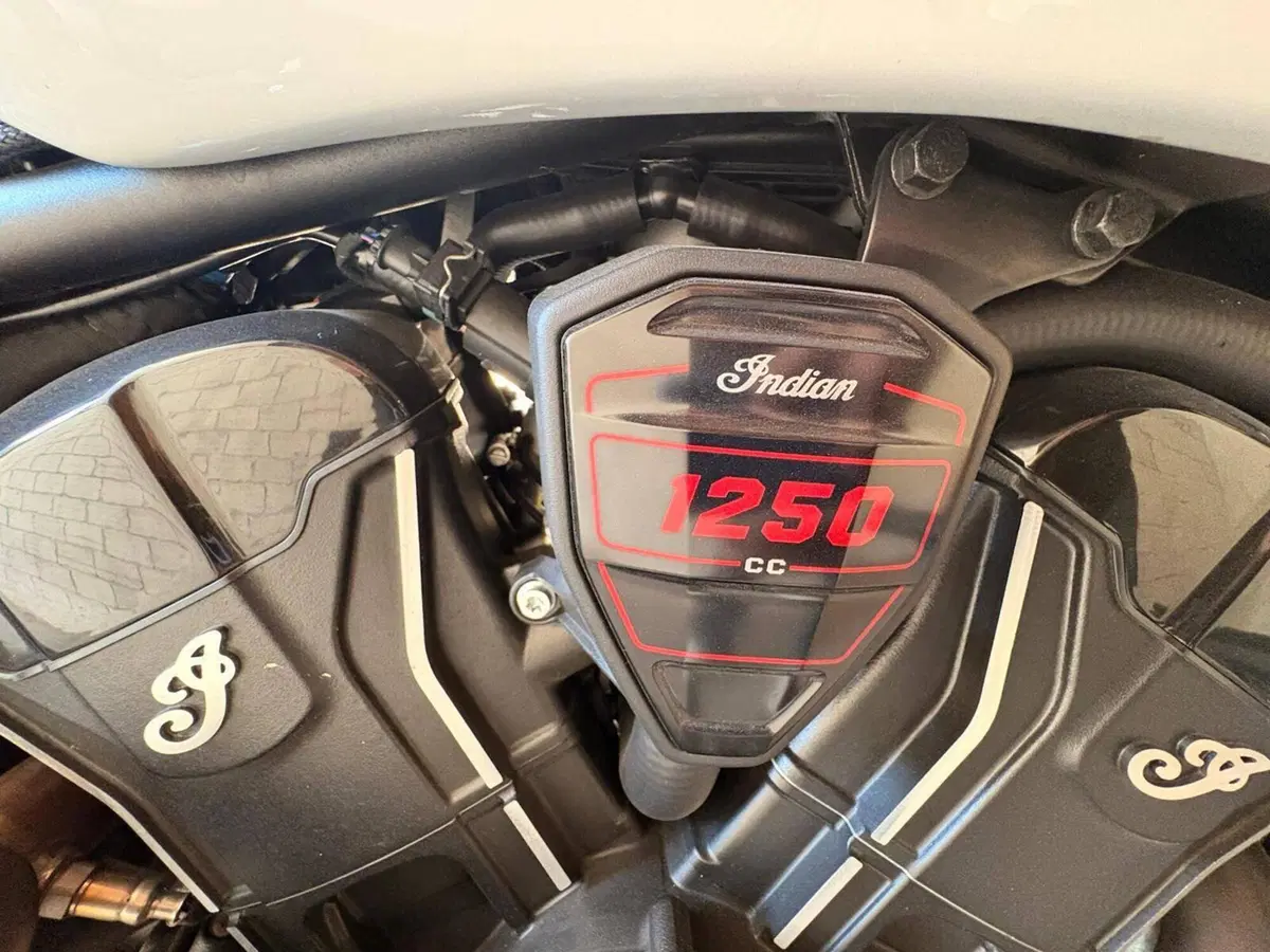 Indian Scout 1250 101 (2025 - 26) (15)