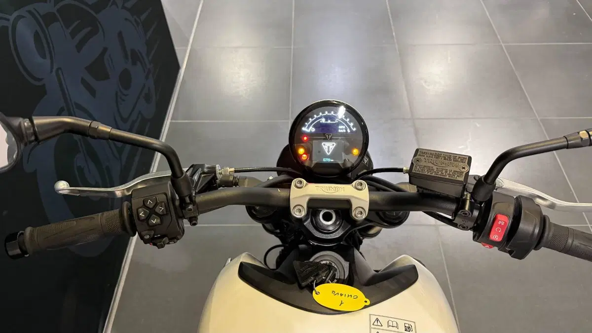 Triumph Trident 660 (2021 - 24) (4)