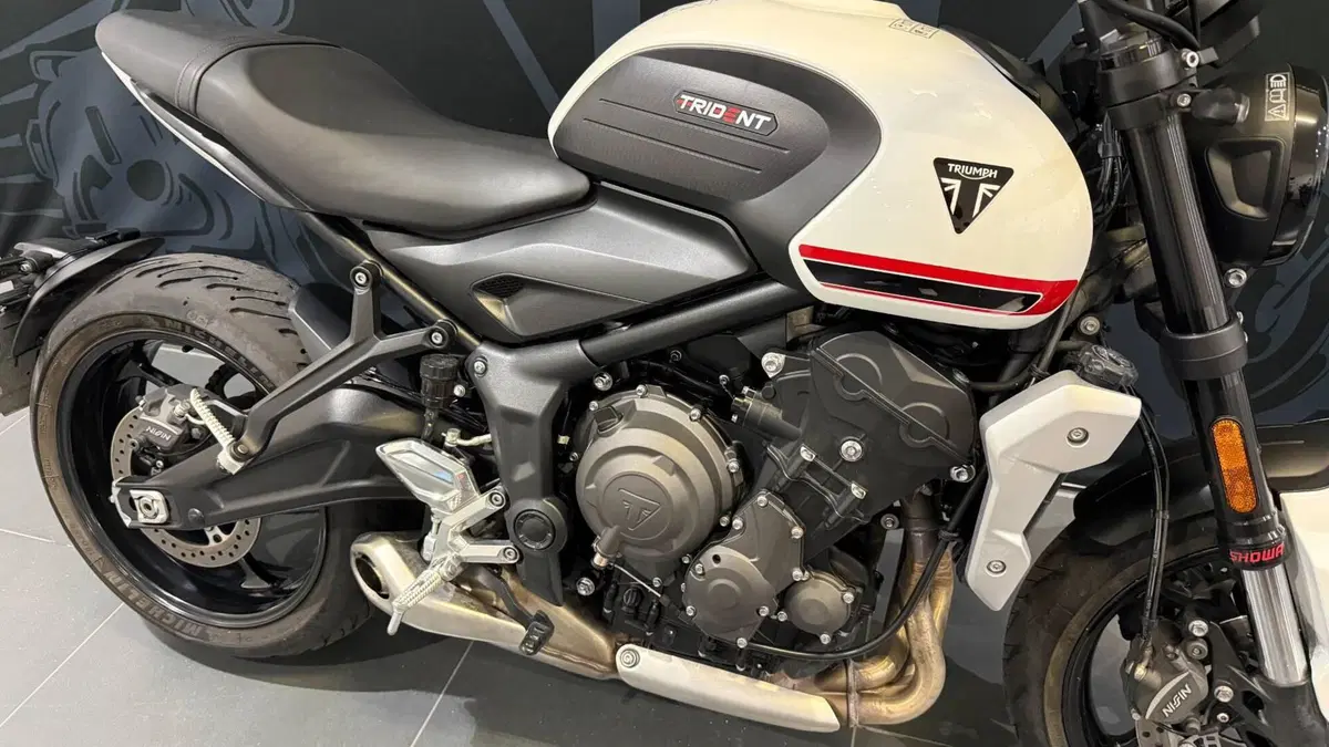 Triumph Trident 660 (2021 - 24) (3)