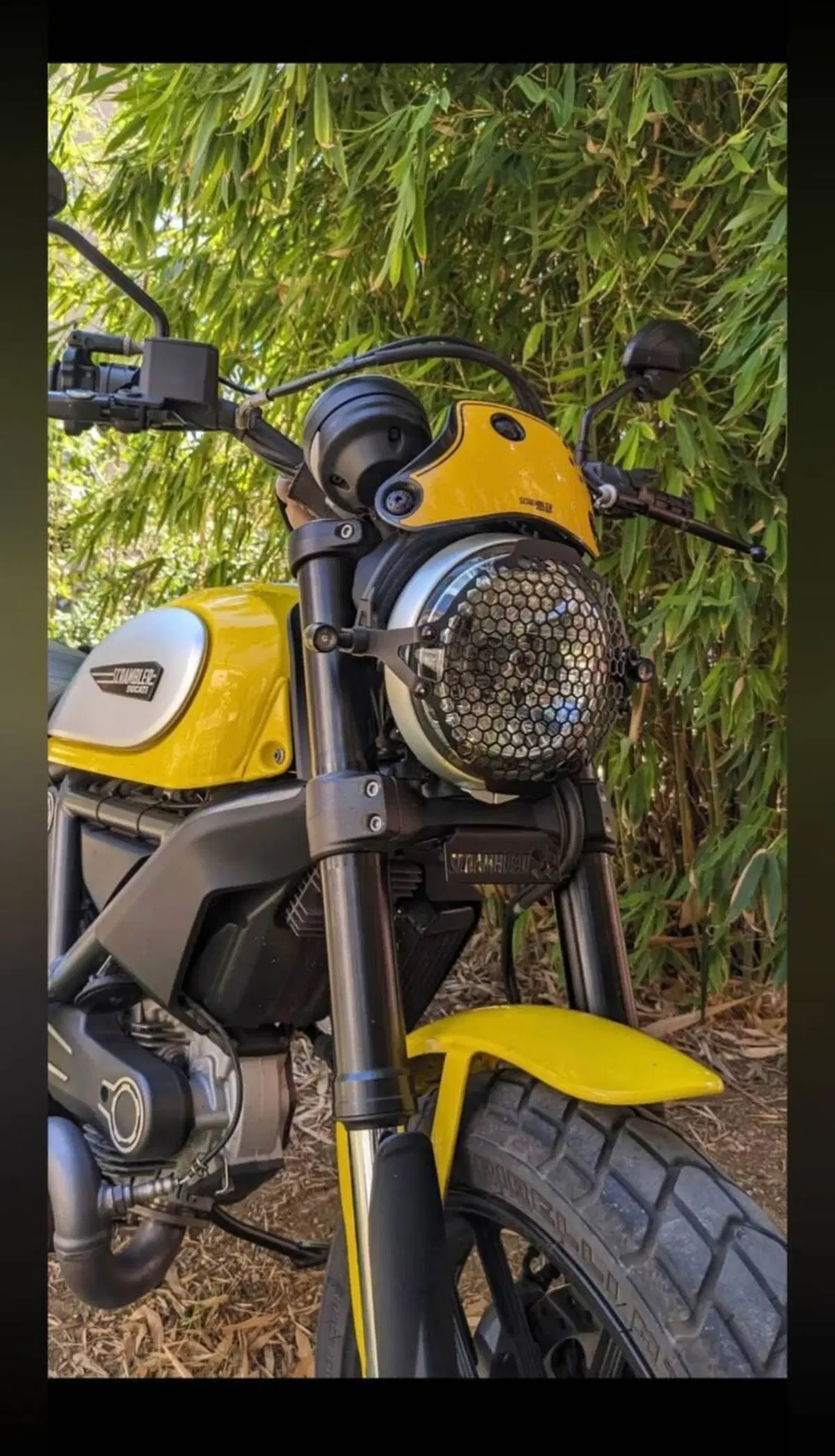 Ducati Scrambler 800 Classic (2015 - 16) (2)
